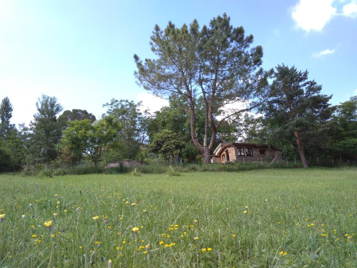 La Cabane En Bois Villemur-sur-Tarn Exterior photo